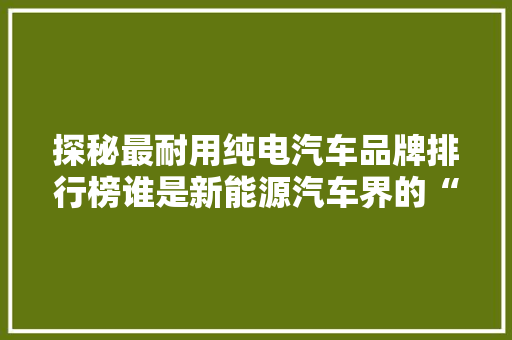 探秘最耐用纯电汽车品牌排行榜谁是新能源汽车界的“常青树”