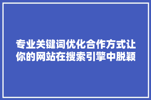 专业关键词优化合作方式让你的网站在搜索引擎中脱颖而出