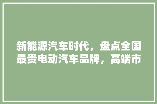 新能源汽车时代，盘点全国最贵电动汽车品牌，高端市场的秘密