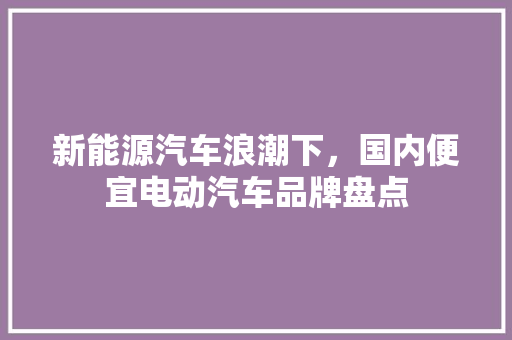 新能源汽车浪潮下，国内便宜电动汽车品牌盘点  第1张