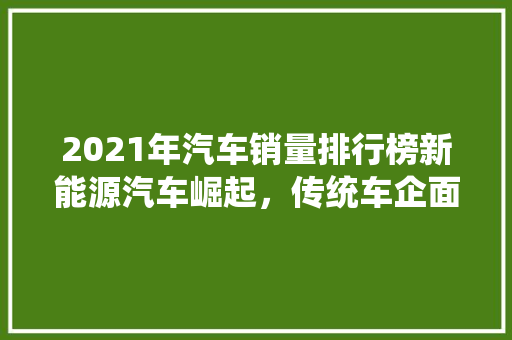 2021年汽车销量排行榜新能源汽车崛起，传统车企面临挑战
