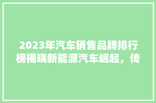 2023年汽车销售品牌排行榜揭晓新能源汽车崛起，传统巨头稳居前列  第1张