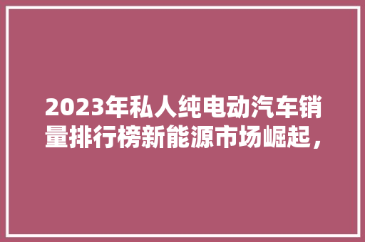 2023年私人纯电动汽车销量排行榜新能源市场崛起，谁是领军者