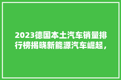 2023德国本土汽车销量排行榜揭晓新能源汽车崛起，传统巨头面临挑战  第1张
