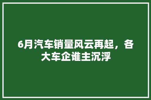 6月汽车销量风云再起，各大车企谁主沉浮