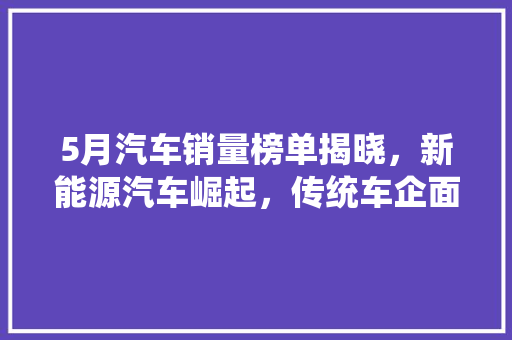 5月汽车销量榜单揭晓，新能源汽车崛起，传统车企面临挑战