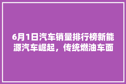 6月1日汽车销量排行榜新能源汽车崛起，传统燃油车面临挑战
