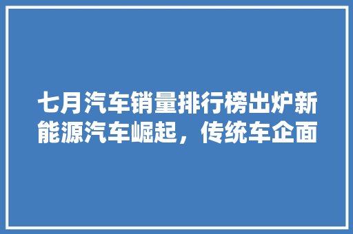 七月汽车销量排行榜出炉新能源汽车崛起，传统车企面临挑战