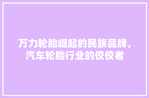 万力轮胎崛起的民族品牌，汽车轮胎行业的佼佼者
