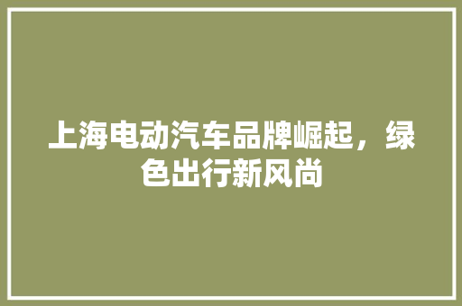 上海电动汽车品牌崛起，绿色出行新风尚