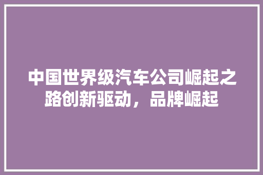 中国世界级汽车公司崛起之路创新驱动，品牌崛起