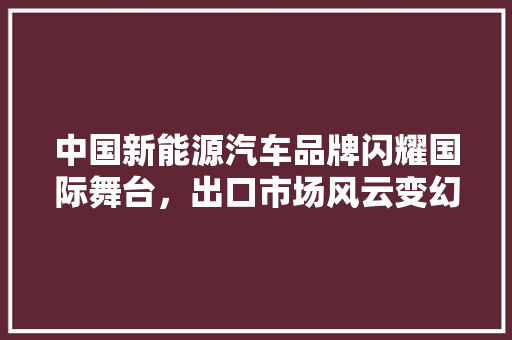 中国新能源汽车品牌闪耀国际舞台，出口市场风云变幻