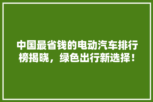 中国最省钱的电动汽车排行榜揭晓，绿色出行新选择！