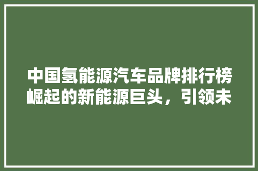 中国氢能源汽车品牌排行榜崛起的新能源巨头，引领未来出行新风尚