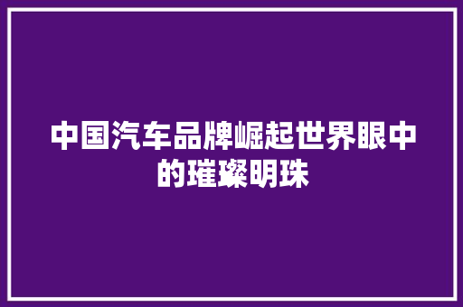 中国汽车品牌崛起世界眼中的璀璨明珠