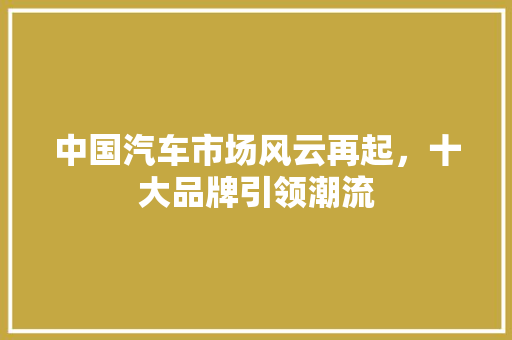中国汽车市场风云再起，十大品牌引领潮流
