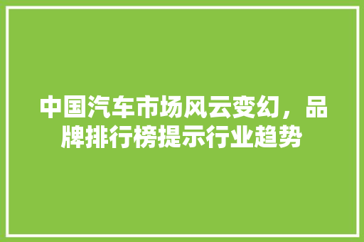 中国汽车市场风云变幻，品牌排行榜提示行业趋势