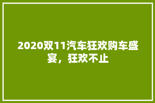 2020双11汽车狂欢购车盛宴，狂欢不止