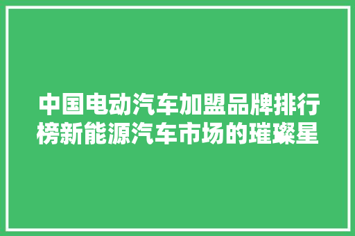 中国电动汽车加盟品牌排行榜新能源汽车市场的璀璨星河