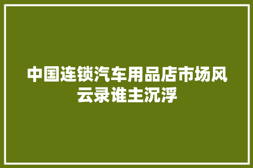 中国连锁汽车用品店市场风云录谁主沉浮