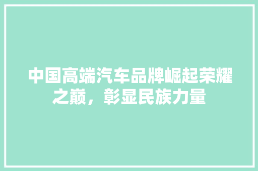 中国高端汽车品牌崛起荣耀之巅，彰显民族力量