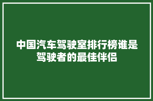 中国汽车驾驶室排行榜谁是驾驶者的最佳伴侣
