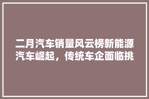 二月汽车销量风云榜新能源汽车崛起，传统车企面临挑战  第1张