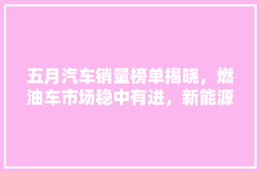 五月汽车销量榜单揭晓，燃油车市场稳中有进，新能源汽车崛起