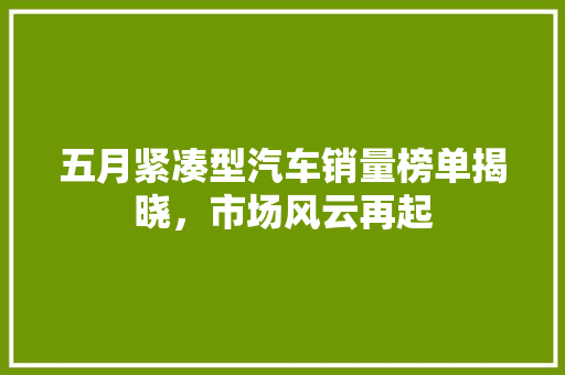 五月紧凑型汽车销量榜单揭晓，市场风云再起