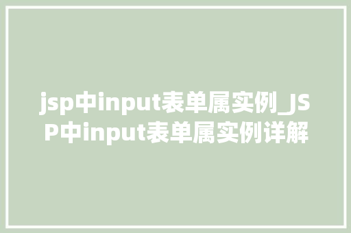 jsp中input表单属实例_JSP中input表单属实例详解从入门到精通  第1张