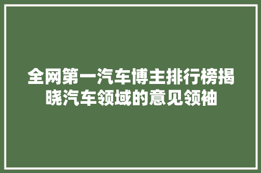 全网第一汽车博主排行榜揭晓汽车领域的意见领袖