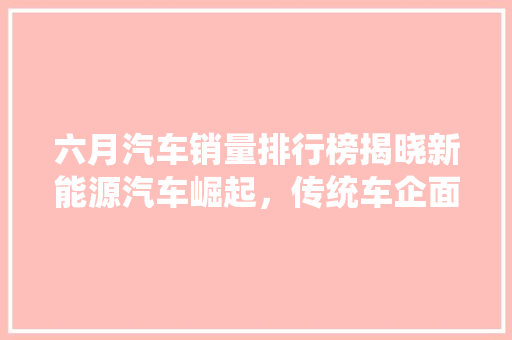六月汽车销量排行榜揭晓新能源汽车崛起，传统车企面临挑战  第1张
