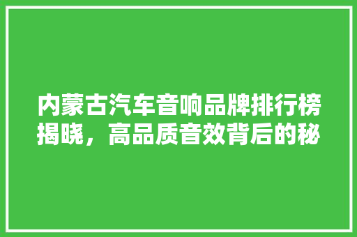 内蒙古汽车音响品牌排行榜揭晓，高品质音效背后的秘密
