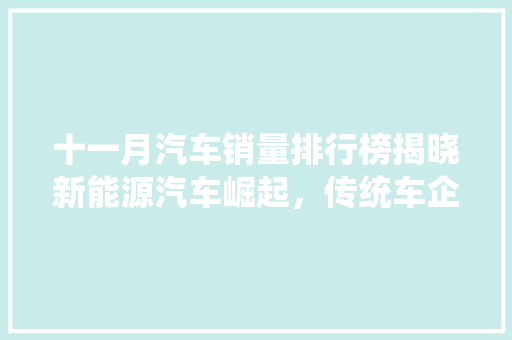 十一月汽车销量排行榜揭晓新能源汽车崛起，传统车企面临挑战