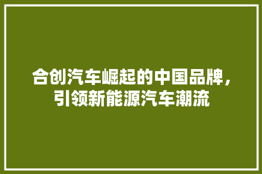 合创汽车崛起的中国品牌，引领新能源汽车潮流