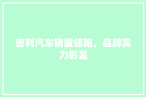 吉利汽车销量领跑，品牌实力彰显  第1张