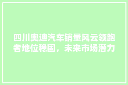 四川奥迪汽车销量风云领跑者地位稳固，未来市场潜力巨大