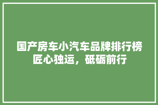 国产房车小汽车品牌排行榜匠心独运，砥砺前行