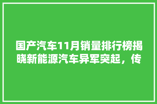国产汽车11月销量排行榜揭晓新能源汽车异军突起，传统车企稳扎稳打