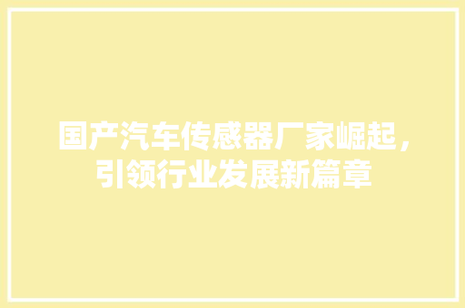 国产汽车传感器厂家崛起，引领行业发展新篇章