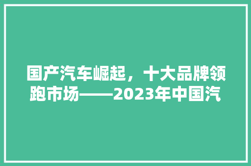 国产汽车崛起，十大品牌领跑市场——2023年中国汽车行业详细