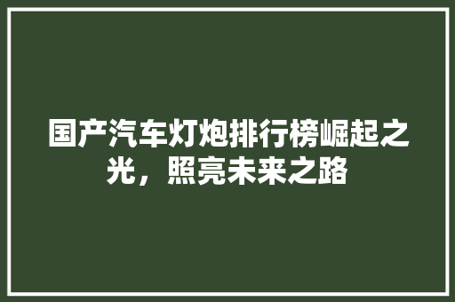 国产汽车灯炮排行榜崛起之光，照亮未来之路