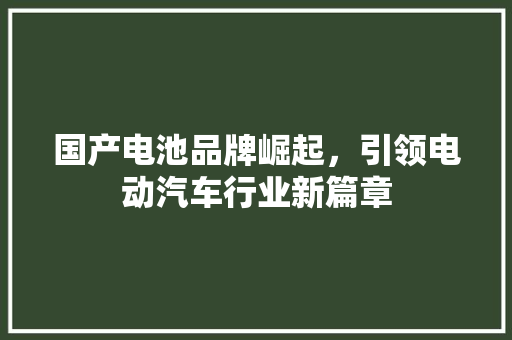 国产电池品牌崛起，引领电动汽车行业新篇章