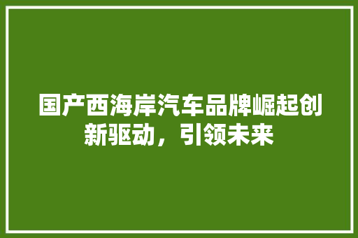 国产西海岸汽车品牌崛起创新驱动，引领未来