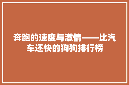奔跑的速度与激情——比汽车还快的狗狗排行榜